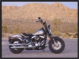 Paliwa, Harley Davidson Softail Cross Bones, Bak